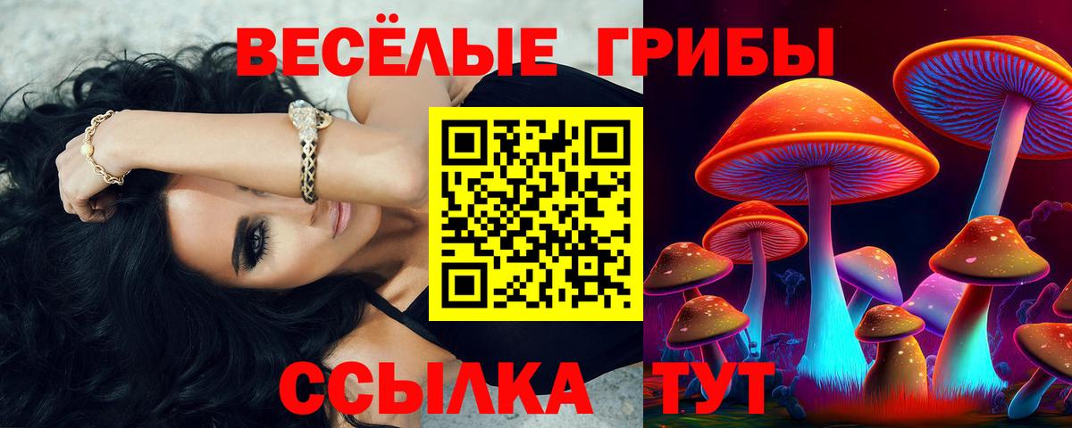 Ленинск-Кузнецкий  Псилоцибиновые грибы GOLDEN TEACHER  Вход с VPN 
